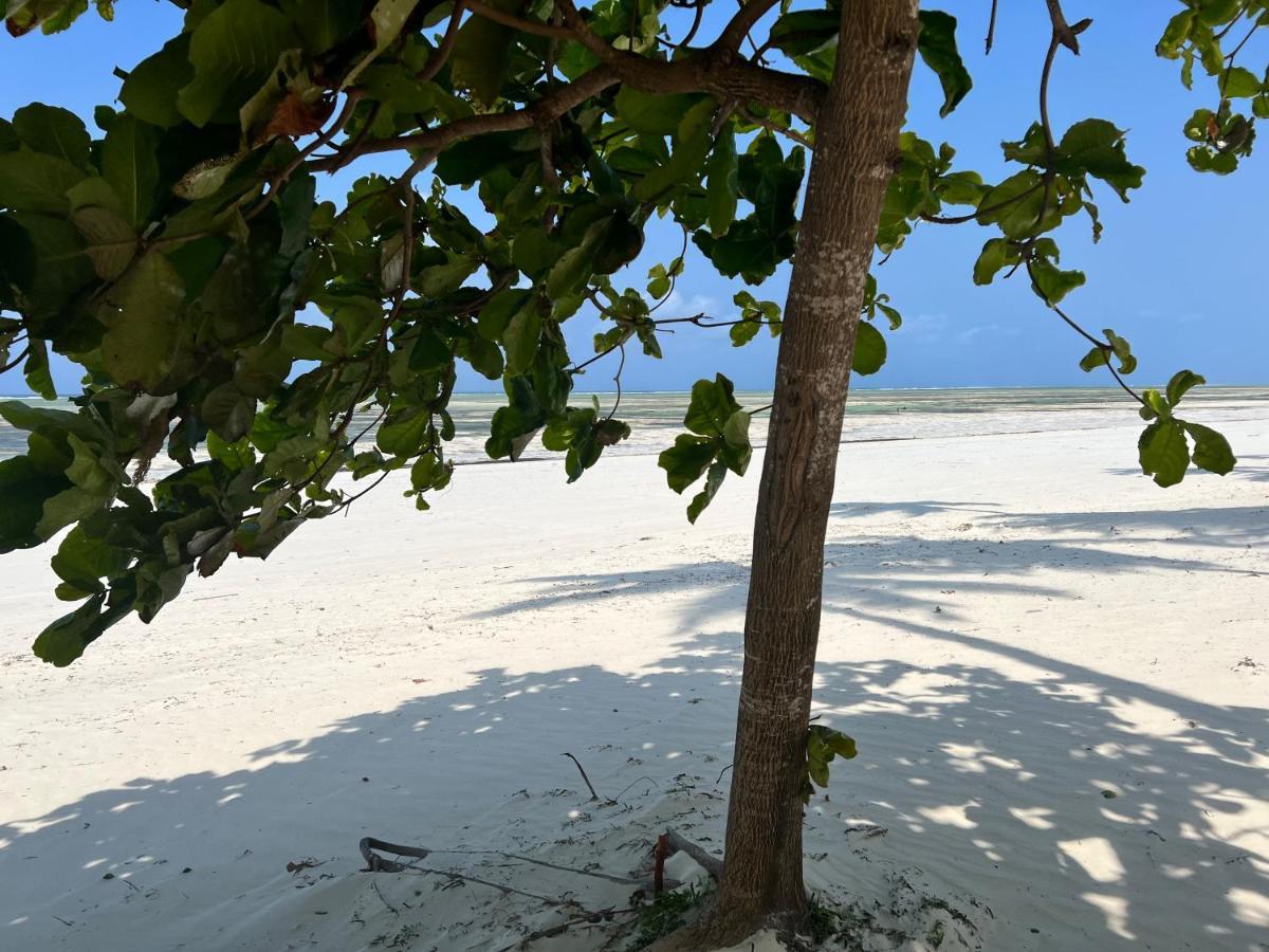 Five Palms Bwejuu Hotel Eksteriør billede